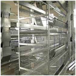 Battery Cages Services in Mohali Punjab India